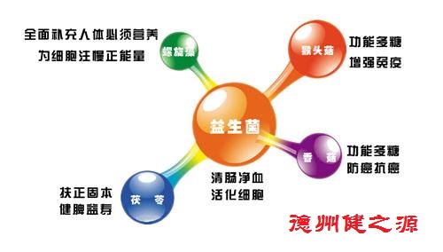 腸胃功能差，益生菌就可以解決一切
